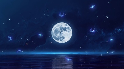 浪漫夜晚