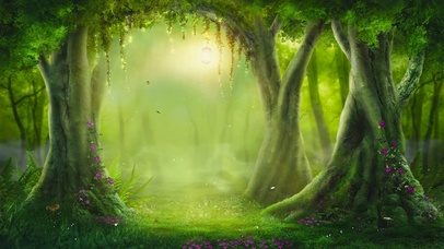 治愈梦幻安静树林