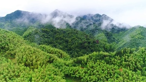 绿色青山