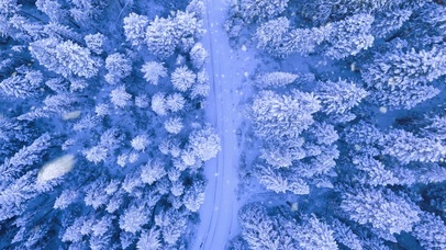 俯视森林，雪花飘飘