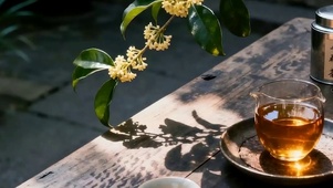 护眼茶座带鱼屏