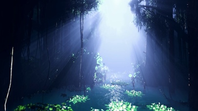 傍晚唯美仙境森林之河