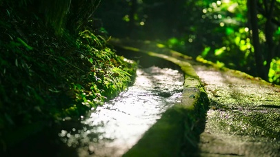 阳光下清新小溪