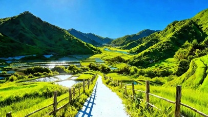 治愈田间小道4K