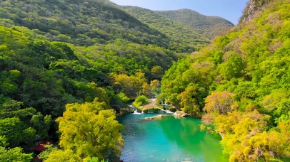 航拍4K绿树河流