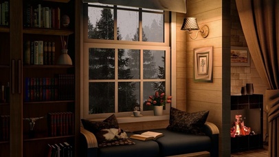 舒适雨夜和睡觉的猫咪