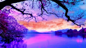 樱花湖