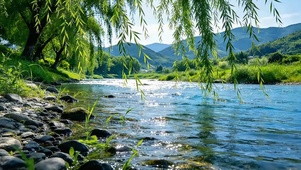 溪岸柳风柔