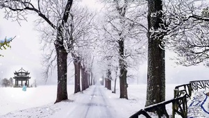 雪中凉亭