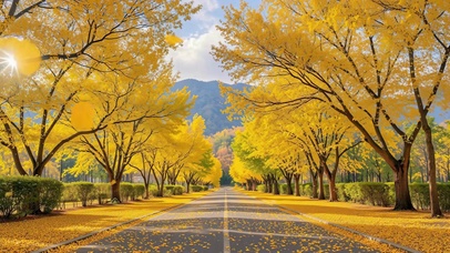 深秋护眼小清新落叶公路