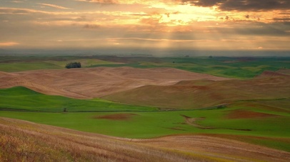 黄昏麦田丰收唯美治愈晚霞落日