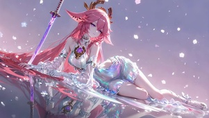 幻彩华裳
