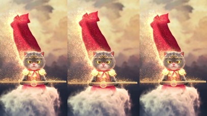 斑布猫-一生所爱