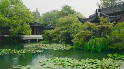 雨天园林水池