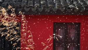 飘雪