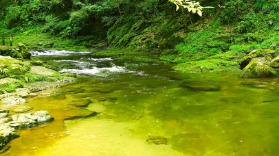 护眼清澈溪流