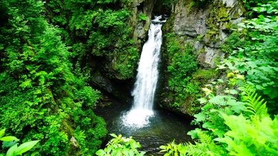 护眼清凉瀑布水潭