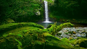 护眼山间溪水