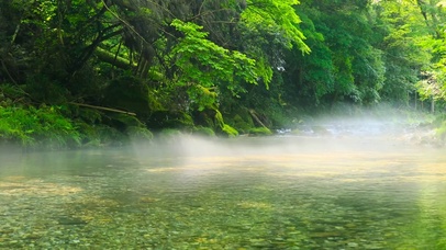 清澈护眼溪水流