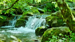 治愈山间小溪4K
