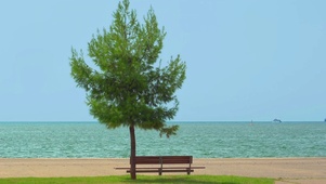 微风海岸