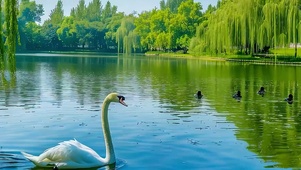 护眼绿景小清新带鱼屏