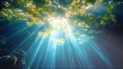 阳光雨林海岛水下风光