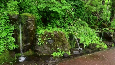 4K护眼绿色山泉流水