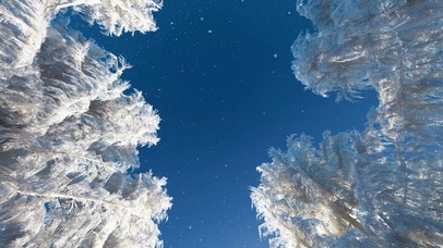 仰视冬雪4K（双端）