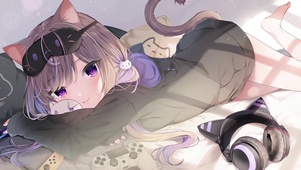 动态猫猫