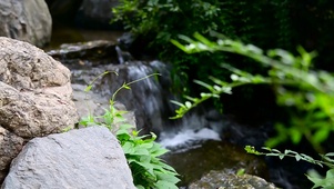 高山流水
