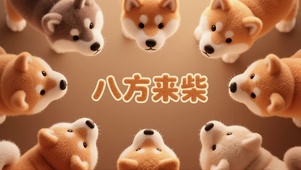 八方来柴