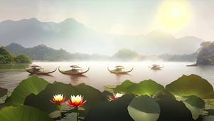 向阳而生