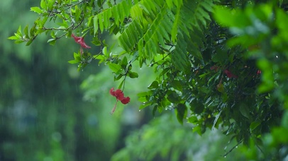 清新护眼雨景