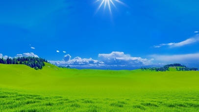 风吹虫鸣的夏天