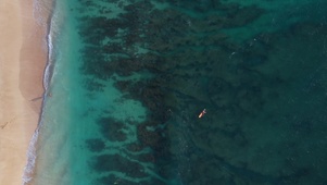 4K蔚蓝海洋