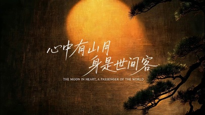 4K唯美 松林 夕阳