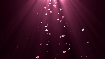 唯美花瓣飘落七夕情人节视频动态