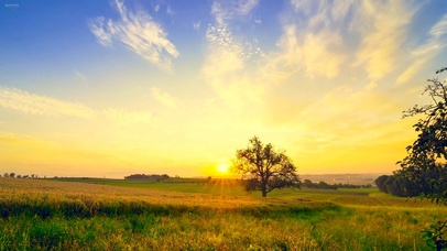 唯美风景日出延时