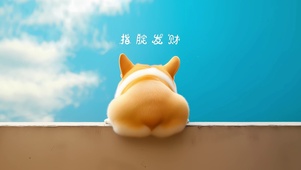 可爱柯基