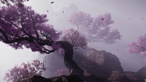 wwm