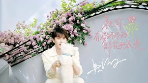 敖瑞鹏-花墙白西装氛围感壁纸