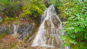 雪天山涧流水