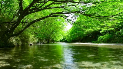 夏日清凉绿林山涧