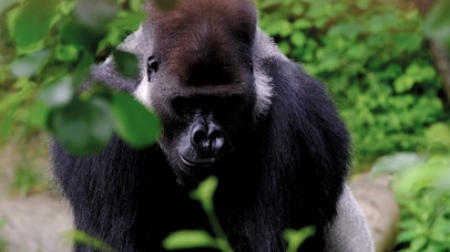 【4K实拍】听说你对我有意见？