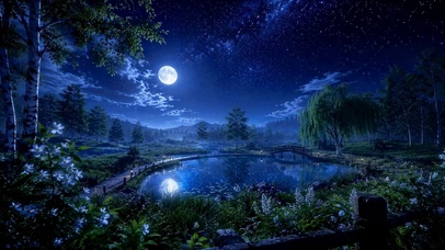 月夜静湖