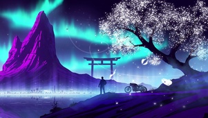 星空下的樱花树