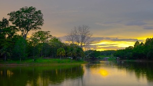 滨海美景