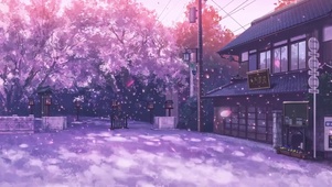 樱花街道