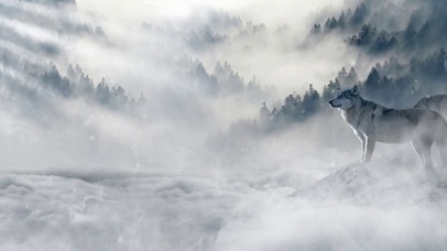 守护兽-雪域神狼